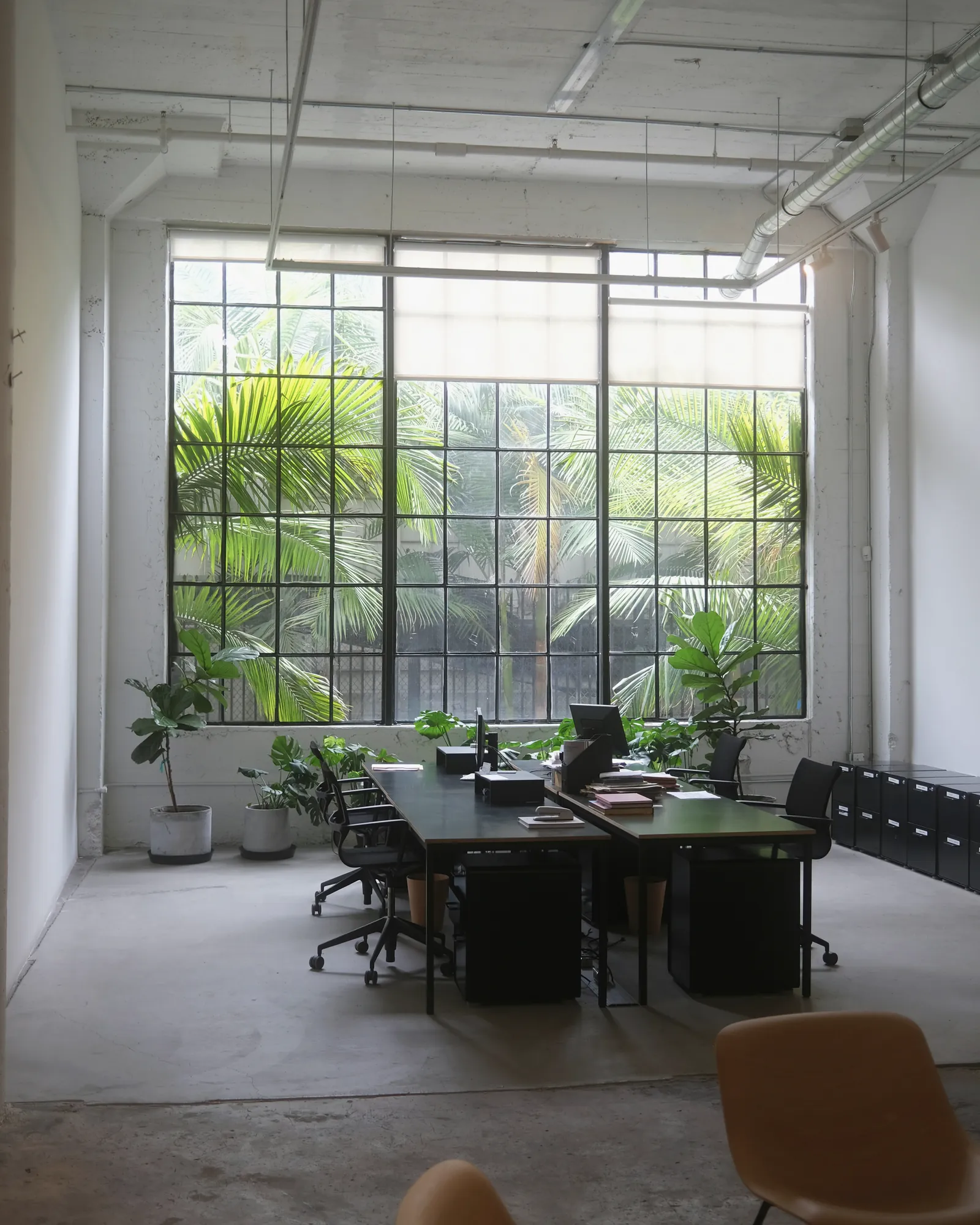 An office interior with morning light on a wooden floor.